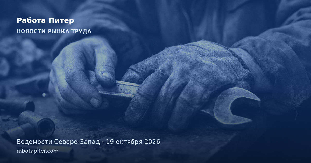 В Петербурге и Ленобласти выросло число работников по договорам ГПХ